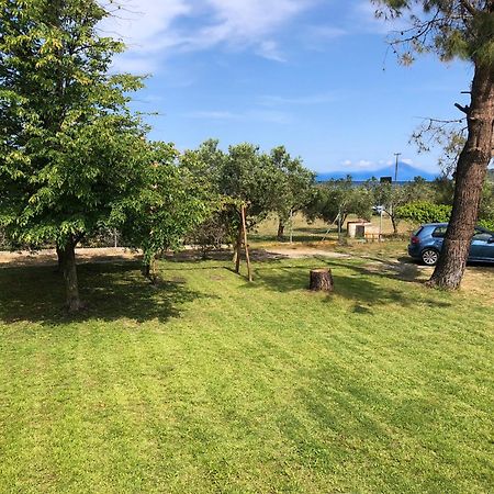 Athos View Villa By The Sea Ormos Panagias Exterior photo